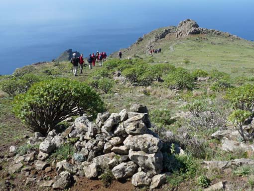 Teneriffa-Wandern-526-Bacaran-Teno-Alto