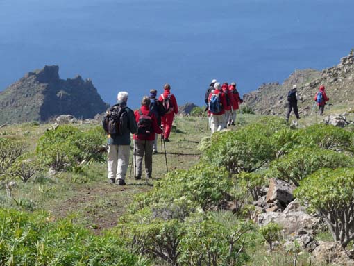 Teneriffa-Wandern-527-Bacaran-Teno-Alto