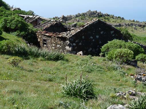 Teneriffa-Wandern-533-Bacaran-Teno-Alto