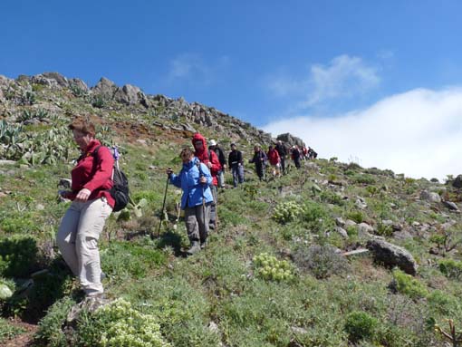 Teneriffa-Wandern-536-Bacaran-Teno-Alto