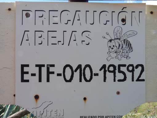 Teneriffa-Wandern-541-Bacaran-Teno-Alto