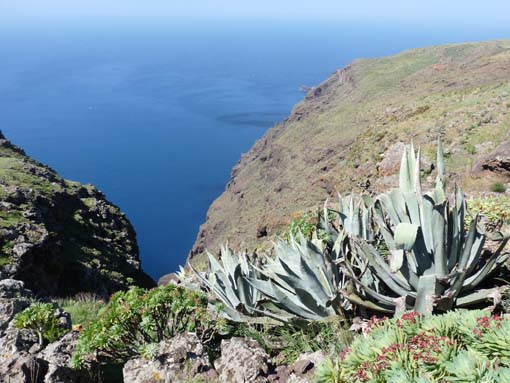 Teneriffa-Wandern-548-Bacaran-Teno-Alto