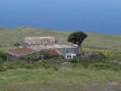 Teneriffa-Wandern-549-Bacaran-Teno-Alto