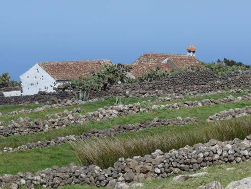 Teneriffa-Wandern-551-Bacaran-Teno-Alto