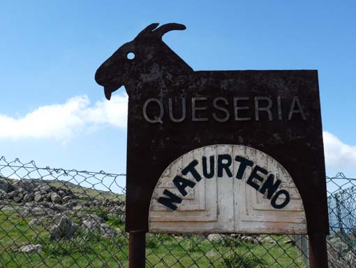 Teneriffa-Wandern-552-Bacaran-Teno-Alto