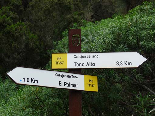 Teneriffa-Wandern-558-Bacaran-Teno-Alto