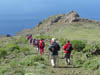 Teneriffa-Wandern-523-Bacaran-Teno-Alto