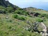 Teneriffa-Wandern-530-Bacaran-Teno-Alto