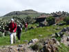 Teneriffa-Wandern-535-Bacaran-Teno-Alto