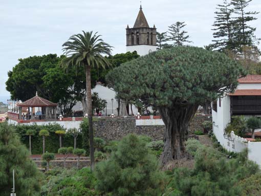 Teneriffa-Wandern-830