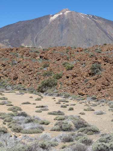 Teneriffa-Wandern-286-Las-Canadas