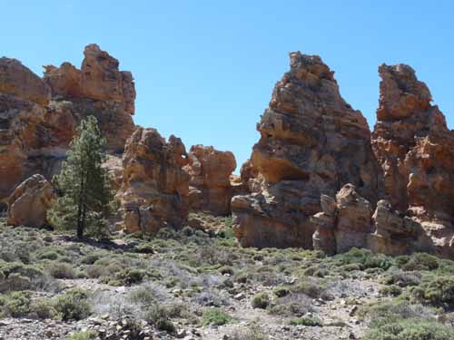 Teneriffa-Wandern-303-Las-Canadas