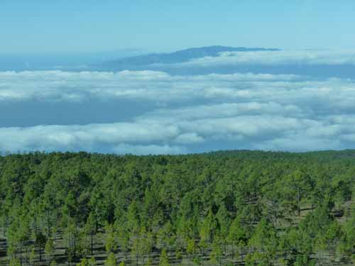 Teneriffa-Wandern-455-Las-Canadas