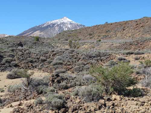Teneriffa-Wandern-458-Las-Canadas