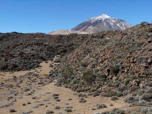 Teneriffa-Wandern-465-Las-Canadas