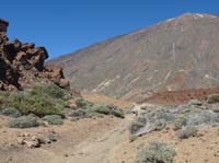 Teneriffa-Wandern-256-Las-Canadas