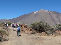 Teneriffa-Wandern-267-Las-Canadas