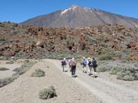 Teneriffa-Wandern-276-Las-Canadas