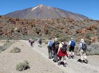 Teneriffa-Wandern-278-Las-Canadas