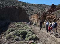 Teneriffa-Wandern-280-Las-Canadas