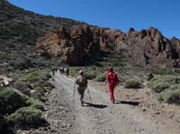 Teneriffa-Wandern-281-Las-Canadas