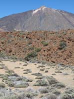 Teneriffa-Wandern-286-Las-Canadas