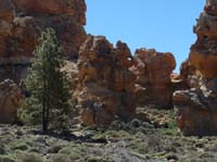 Teneriffa-Wandern-305-Las-Canadas