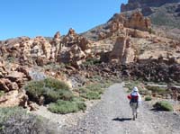 Teneriffa-Wandern-314-Las-Canadas