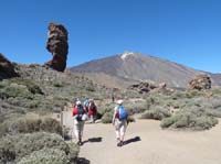 Teneriffa-Wandern-356-Las-Canadas