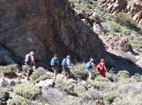 Teneriffa-Wandern-368-Las-Canadas