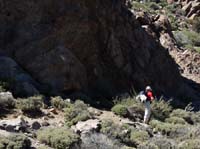 Teneriffa-Wandern-369-Las-Canadas