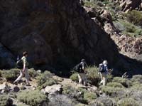 Teneriffa-Wandern-370-Las-Canadas
