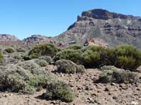 Teneriffa-Wandern-372-Las-Canadas