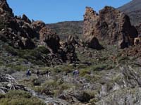 Teneriffa-Wandern-377-Las-Canadas