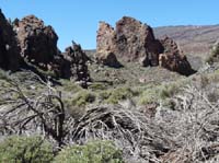 Teneriffa-Wandern-382-Las-Canadas