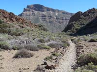 Teneriffa-Wandern-386-Las-Canadas