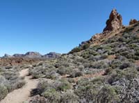 Teneriffa-Wandern-399-Las-Canadas