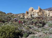 Teneriffa-Wandern-419-Las-Canadas