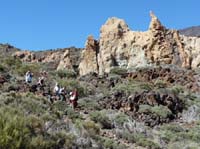 Teneriffa-Wandern-420-Las-Canadas