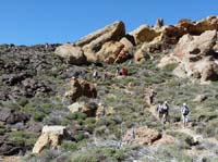 Teneriffa-Wandern-422-Las-Canadas