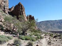 Teneriffa-Wandern-431-Las-Canadas