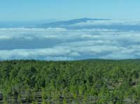 Teneriffa-Wandern-455-Las-Canadas