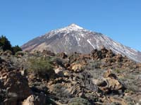 Teneriffa-Wandern-456-Las-Canadas