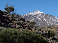Teneriffa-Wandern-457-Las-Canadas