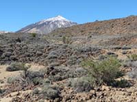 Teneriffa-Wandern-458-Las-Canadas