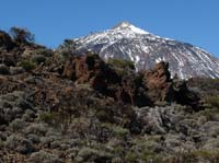 Teneriffa-Wandern-460-Las-Canadas