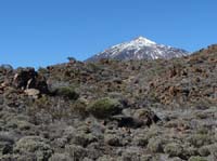 Teneriffa-Wandern-461-Las-Canadas