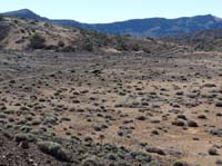 Teneriffa-Wandern-463-Las-Canadas