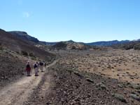 Teneriffa-Wandern-464-Las-Canadas