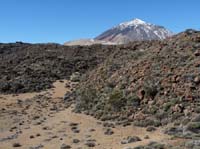 Teneriffa-Wandern-465-Las-Canadas